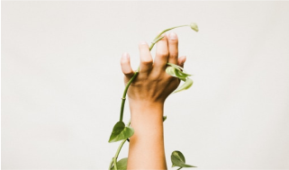 La Rivera Announces New Sustainable Development Initiative