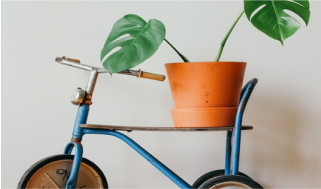 Record Tourism Season at La Rivera