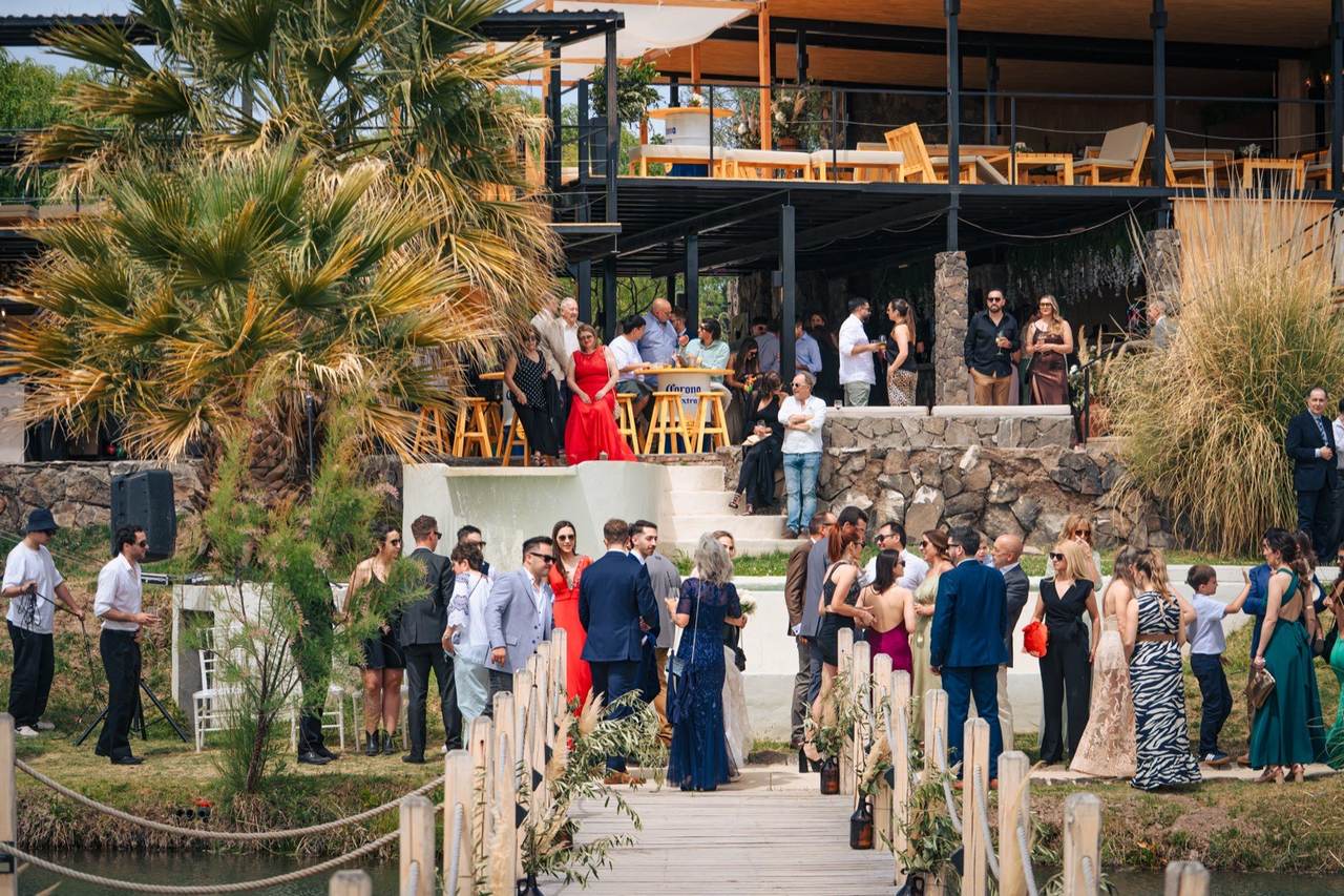 Weddings 19